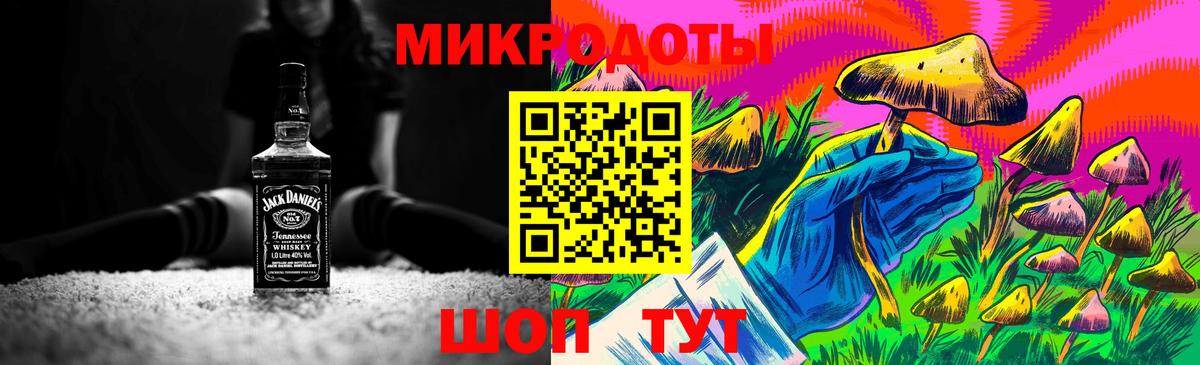 Псилоцибиновые грибы Cubensis Новоуральск